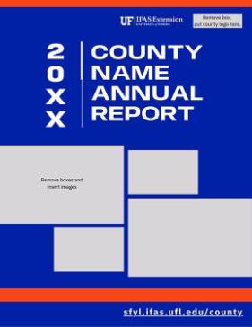 Thumb Extension County Annual Report Template Blue