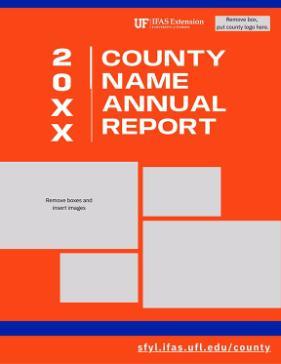 Thumb Extension County Annual Report Template Orange
