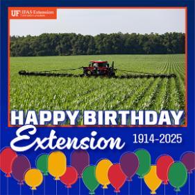 Happy Birthday Extension Canva Template