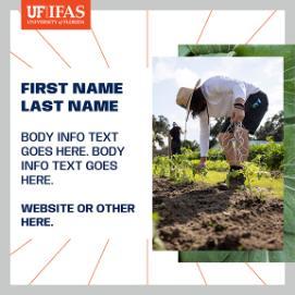 IFAS Social Media Template 1 Thumb