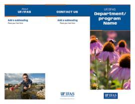 IFAS Trifold Brochure Thumb