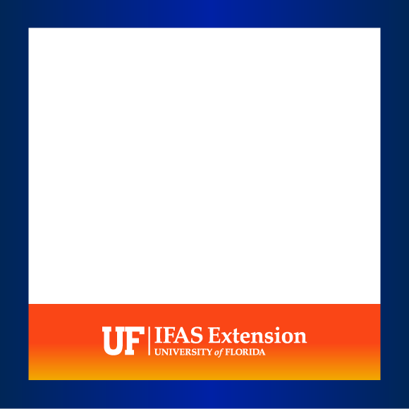 Extension Social Media/Podcast Profile Picture Template